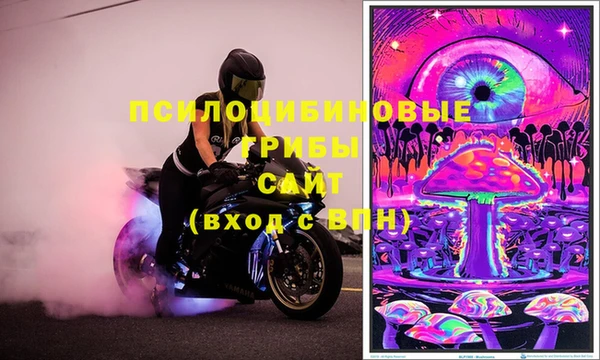 шишки Нефтегорск