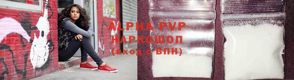 сатива Болохово