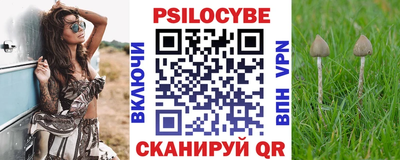 Купить закладки  Карачаевск  Галлюциногенные грибы мицелий 