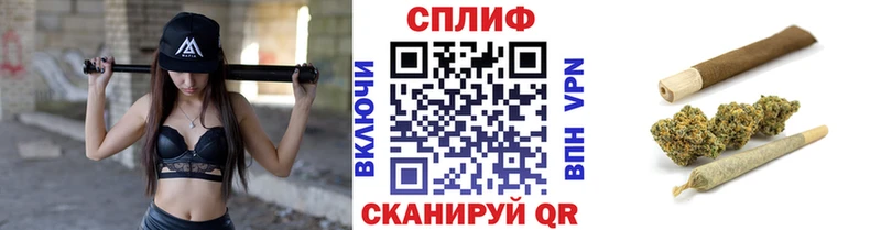 Шишки марихуана семена  Купить где  Карачаевск 